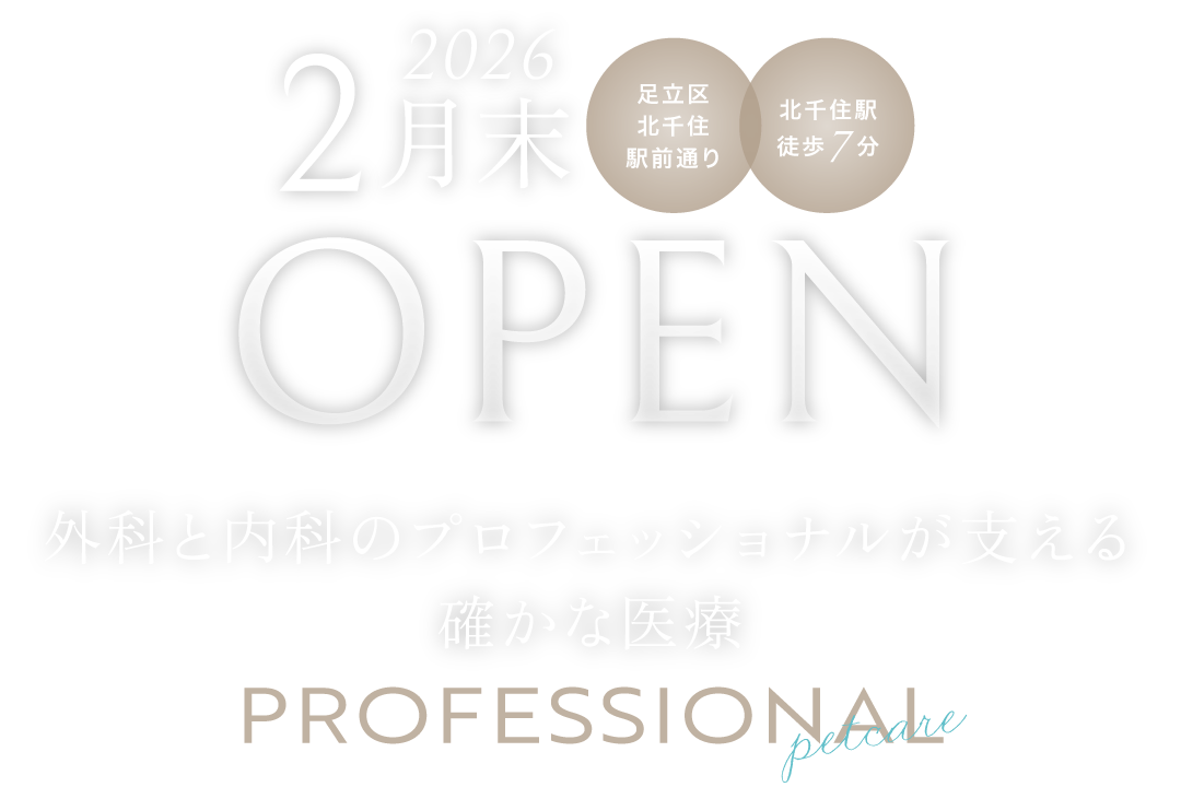2026年2月末 オープン/アクセス便利!アクセス便利!北千住駅徒歩7分/外科と内科のプロフェッショナルが支える確かな医療